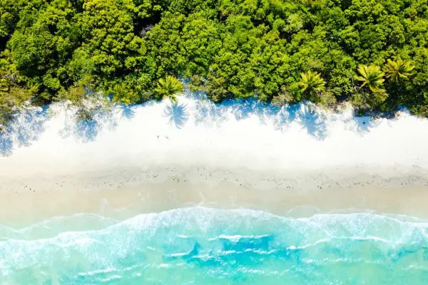 VLC carbon neutral Cape Tribulation