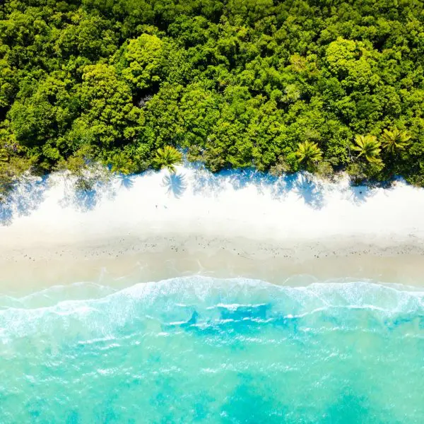 VLC carbon neutral Cape Tribulation