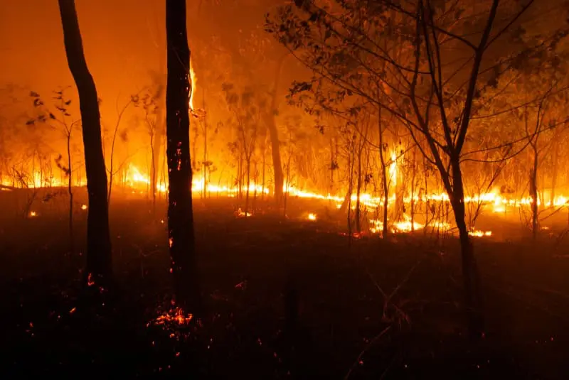 Bushfire Australia