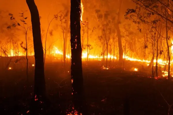 Polycrisis Australia