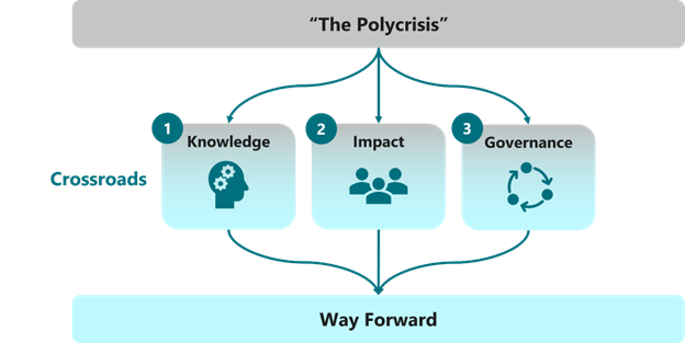 Polycrisis flow chart