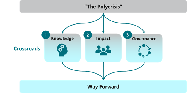 Polycrisis flow chart